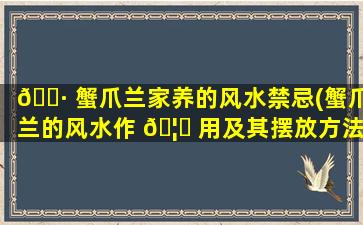 🕷 蟹爪兰家养的风水禁忌(蟹爪兰的风水作 🦆 用及其摆放方法)